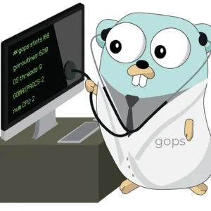 Golang Diagnostics
